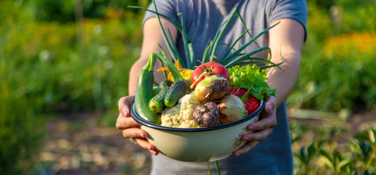 Bidoversitatea in alimentatia sanatoasa