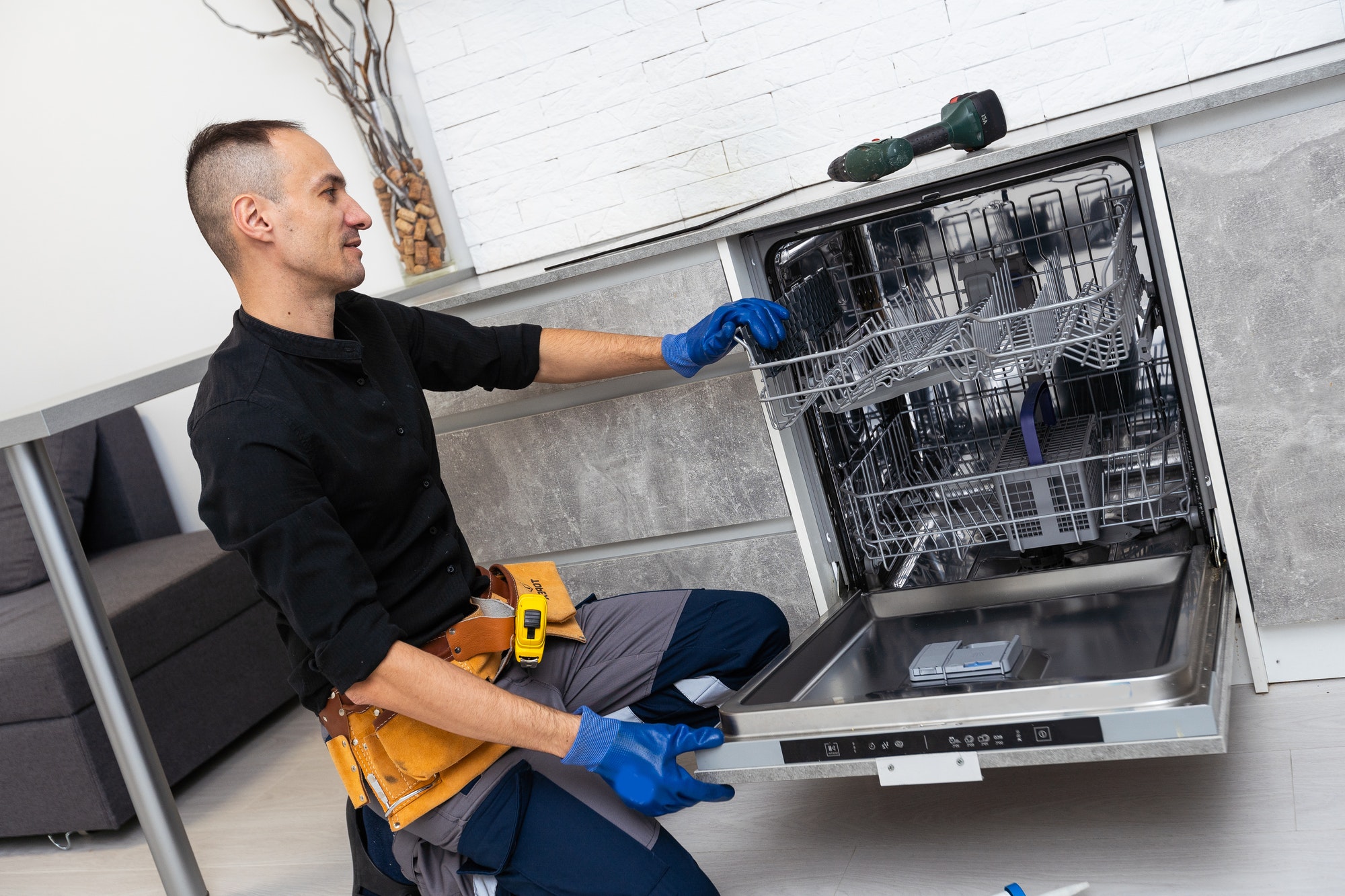 Dishwasher Appliance Repair Service. Household Maintenance Repairman