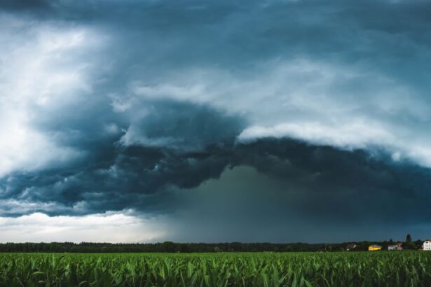 Fenomene meteo extreme si economia mondiala