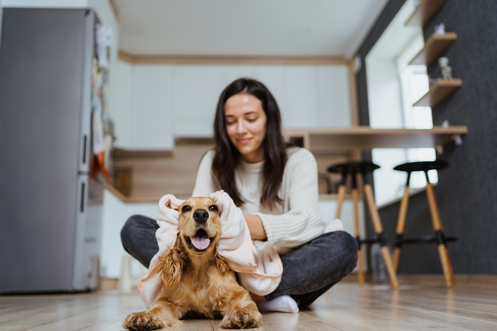 Pleasant photo about taking care and playing with a dog